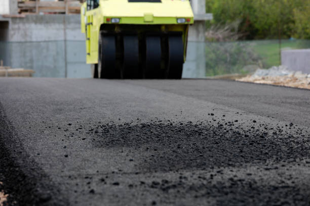 Best Decorative Driveway Pavers  in Warsaw, NC