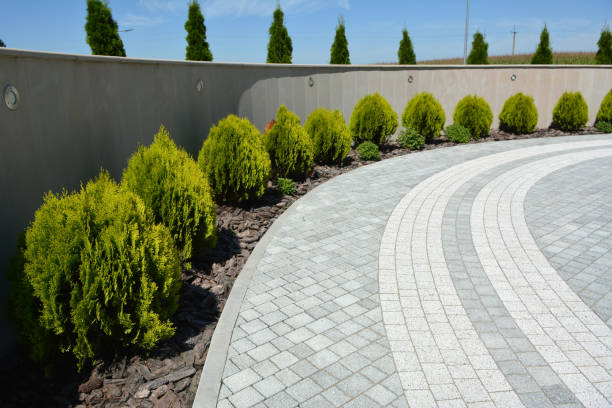 Best Interlocking Driveway Pavers  in Warsaw, NC