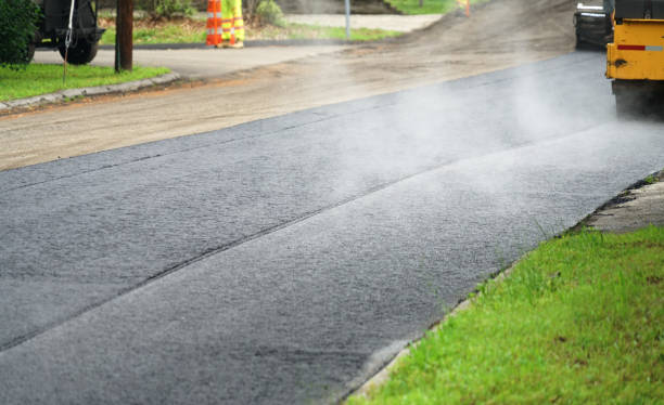 Best Professional Driveway Pavers  in Warsaw, NC